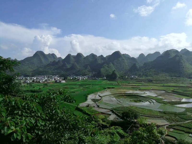 萬峰林2_副本