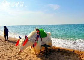 宜昌到西北甘青只需花費幾百塊/特價優惠/有哪些景點【樂游甘青】青海+甘肅大環線雙飛8日游