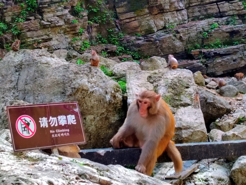 微信圖片_20230418110221_副本